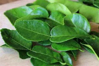 Daun Jeruk