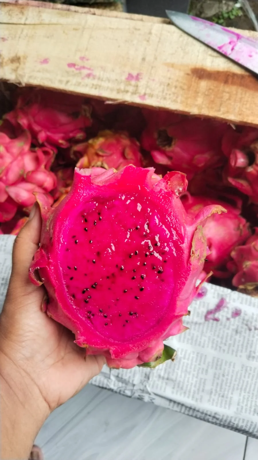 Buah Naga