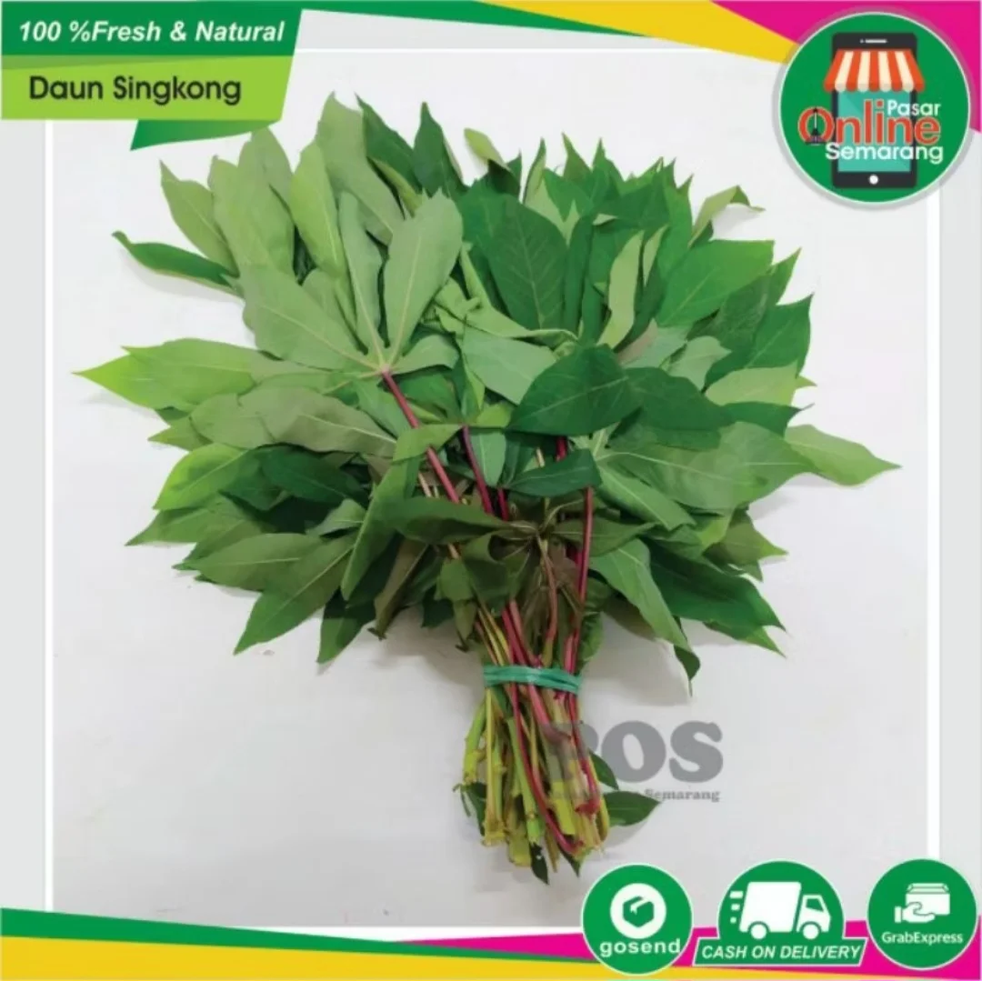 Daun Singkong