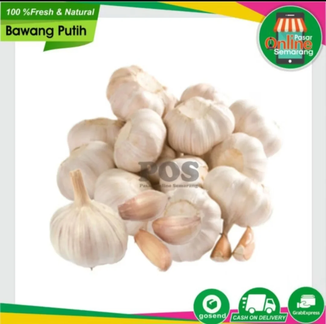 Bawang Putih