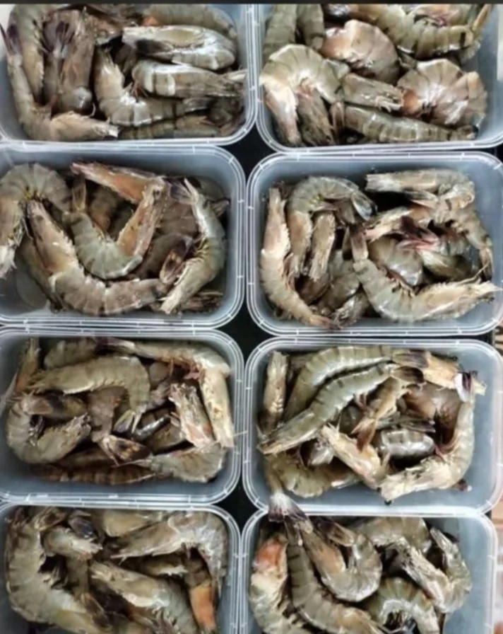Udang segar