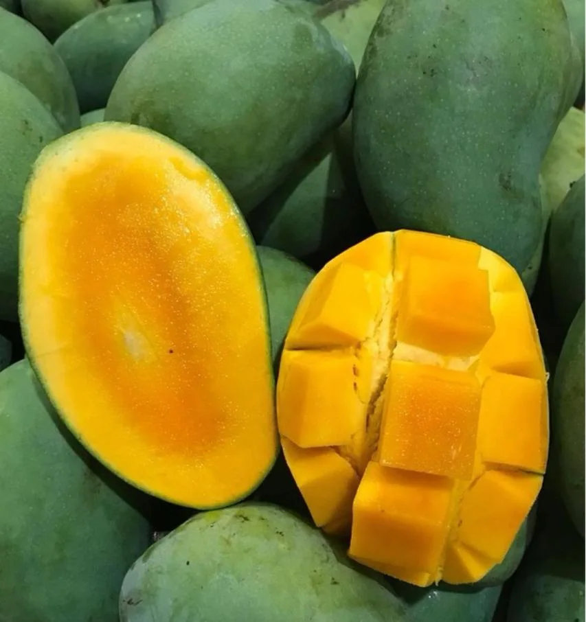 Mangga gadung