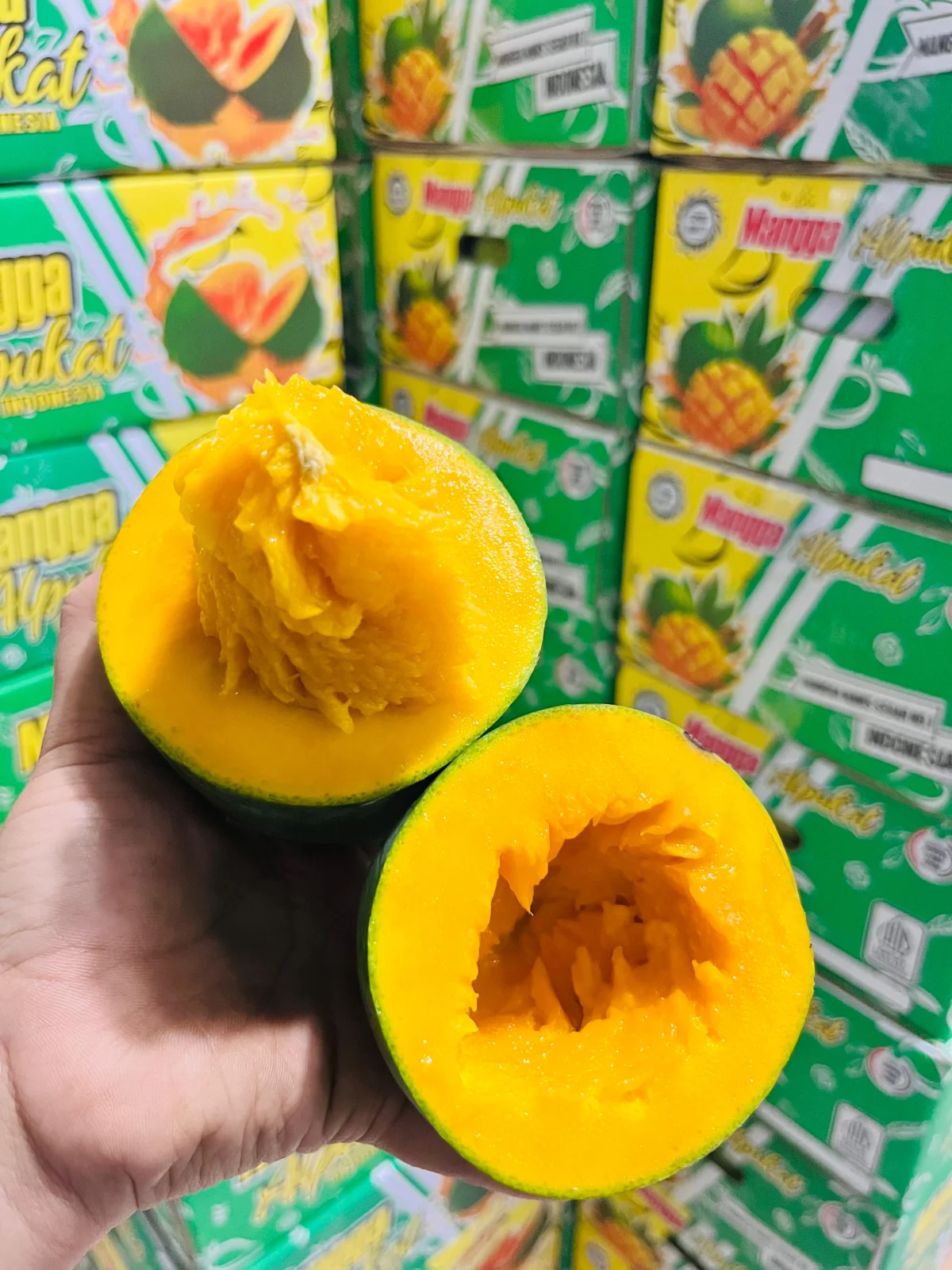 Mangga alpukat